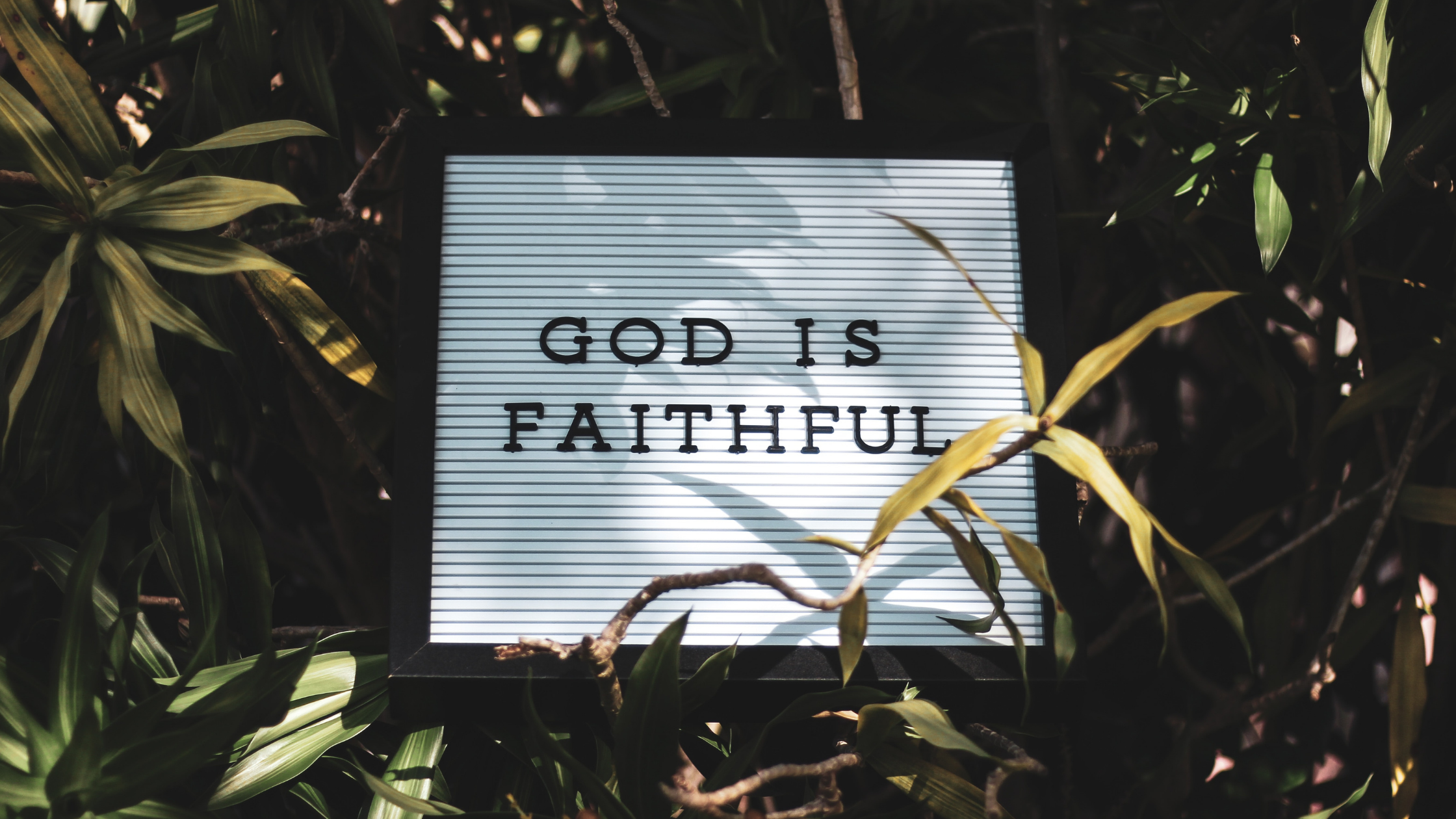 FAITHFUL God
